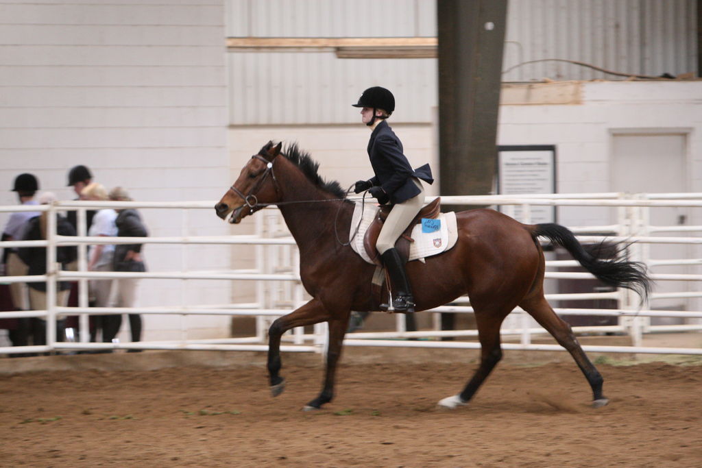 alex/wtamu_111707/JAM_7702.jpg