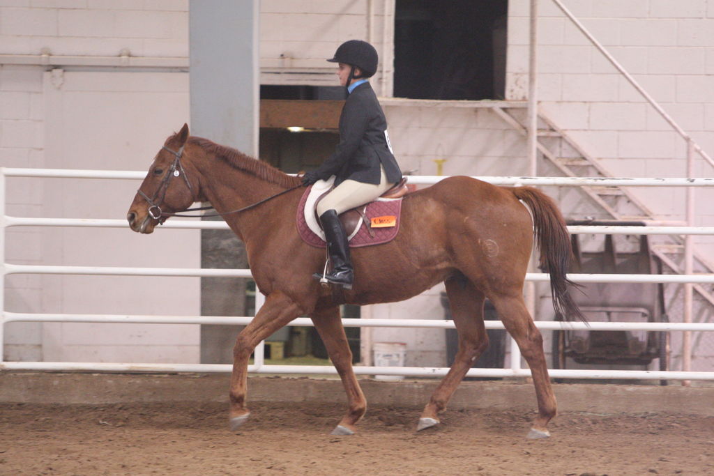 alex/wtamu_111707/JAM_7733.jpg