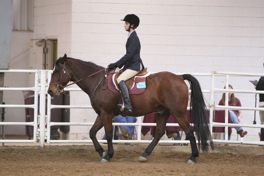 alex/wtamu_111707/JAM_7738.jpg