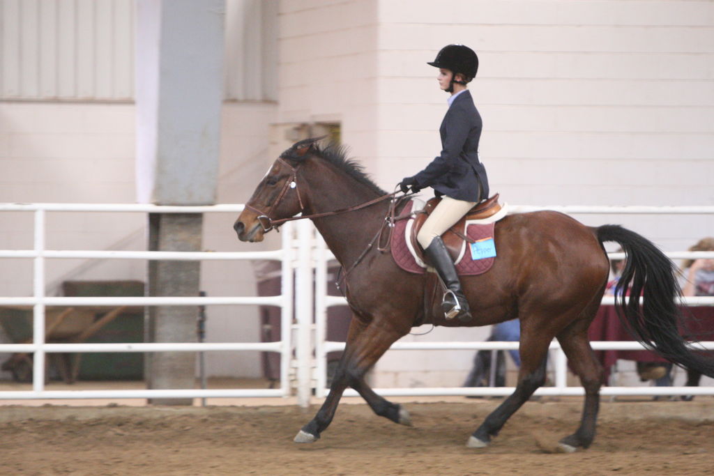 alex/wtamu_111707/JAM_7742.jpg