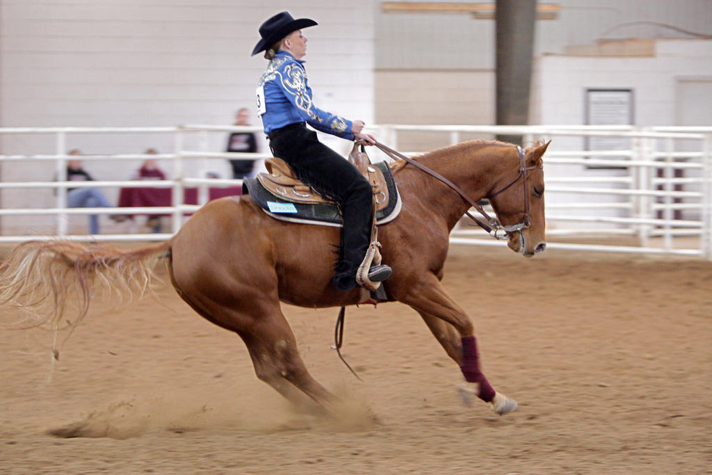 alex/wtamu_111807/JAM_7818.jpg