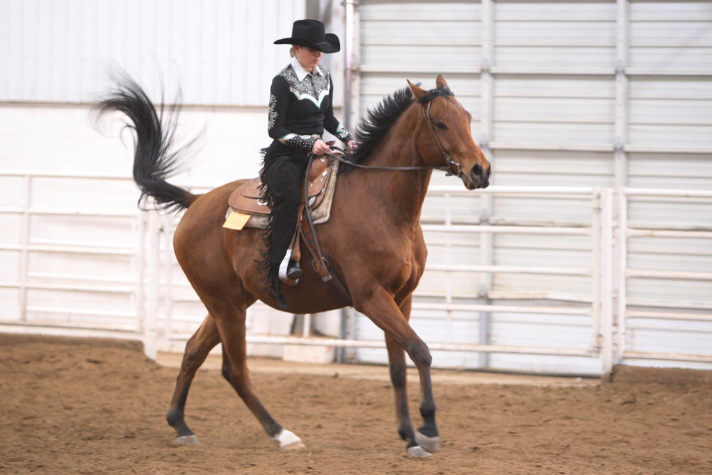 alex/wtamu_111807/JAM_7877.jpg