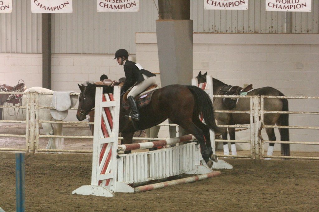 alex/wtamu_early_1119/img_1198.jpg