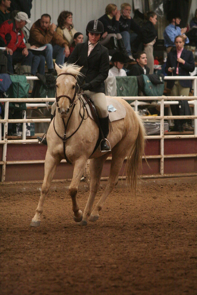 alex/wtamu_early_1119/img_1325.jpg