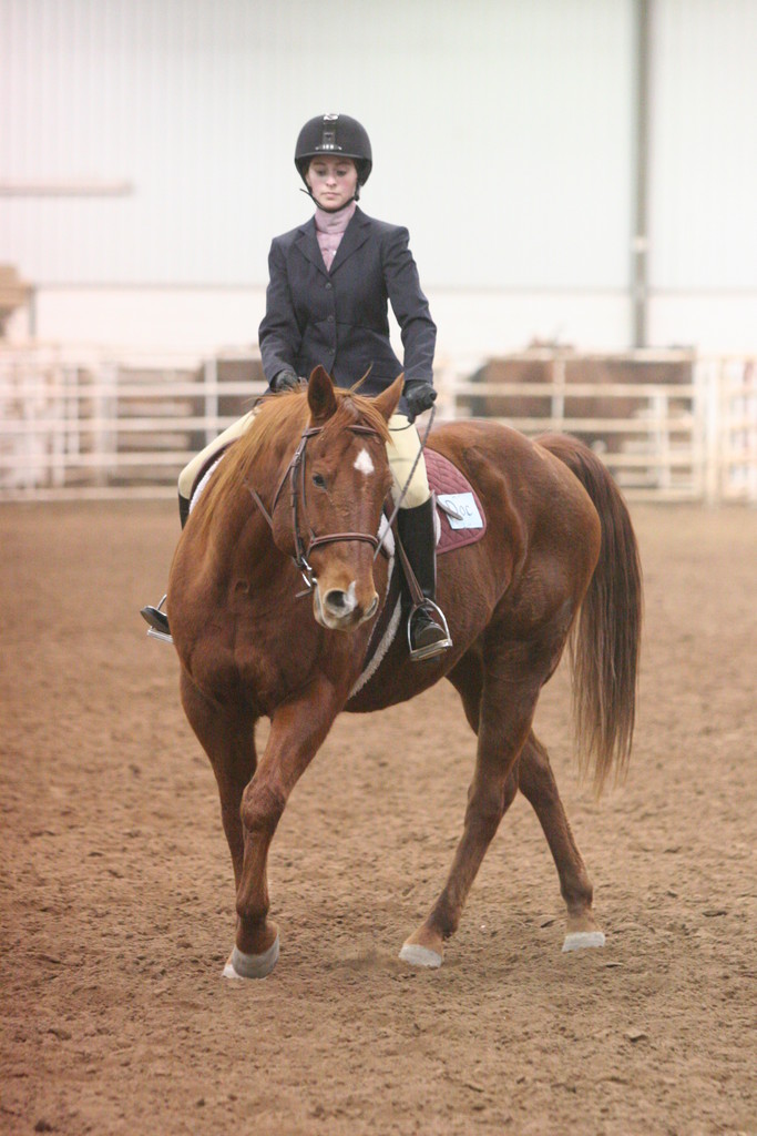 alex/wtamu_early_1119/img_1349.jpg