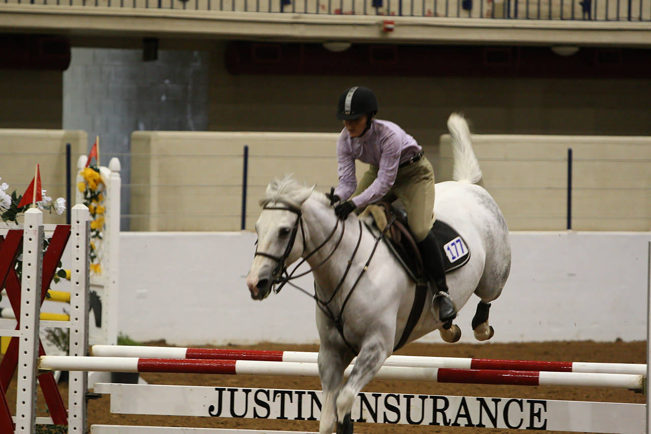 pictures/HorseShows/WacoJune2008/JAM_1205.jpg