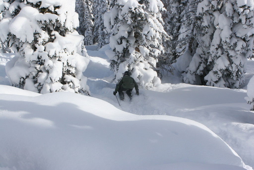 pictures/steamboat/ski08/img_9577.jpg